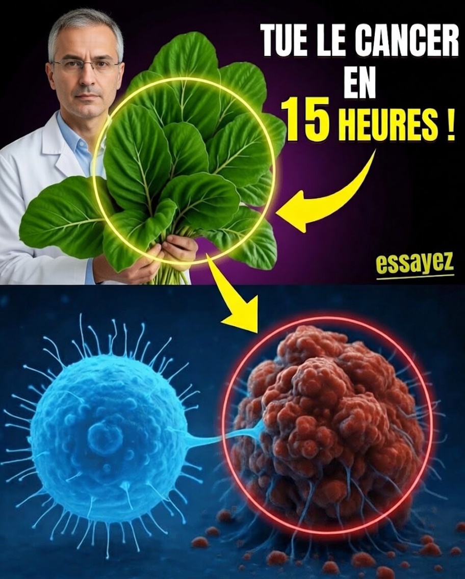 6 habitudes quotidiennes pour protéger vos reins dès aujourd’hui