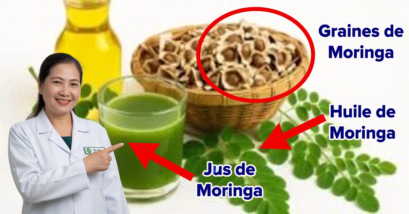 Moringa pour la vue : bienfaits et comment l’utiliser