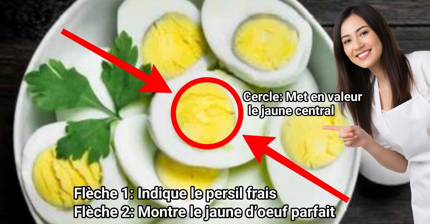 Pourquoi un anneau vert apparaît-il sur les œufs et que signifie-t-il ?