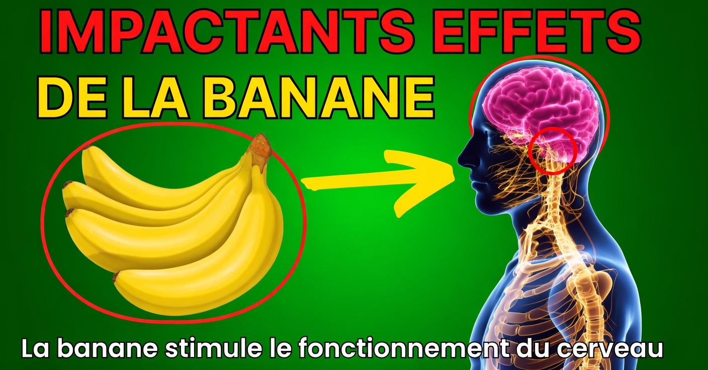 Manger 2 bananes par jour : des bienfaits surprenants pour votre santé