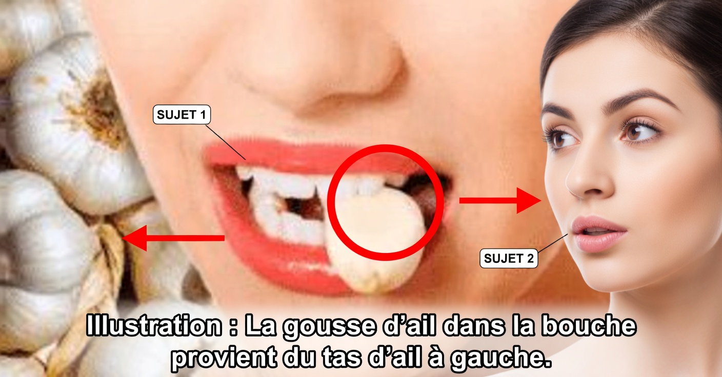 Bienfaits de manger de l’ail à jeun pendant 7 jours