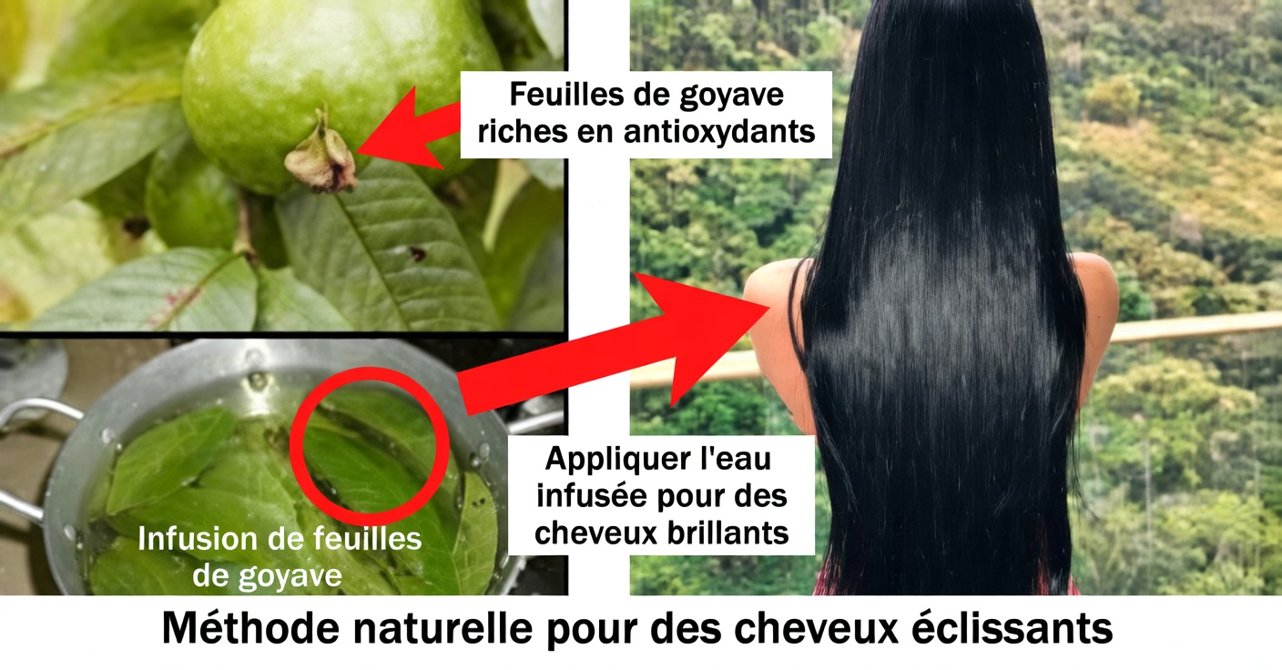 Shampooing à la goyave pour les cheveux