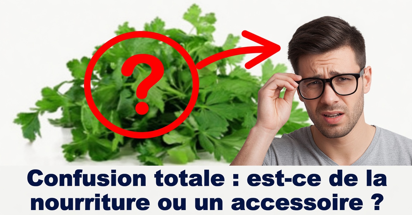 Persil pour la vue : remède naturel efficace