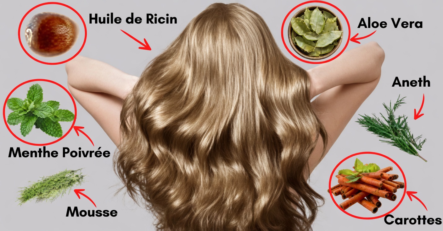 Fortifier les cheveux naturellement avec du romarin et de la menthe