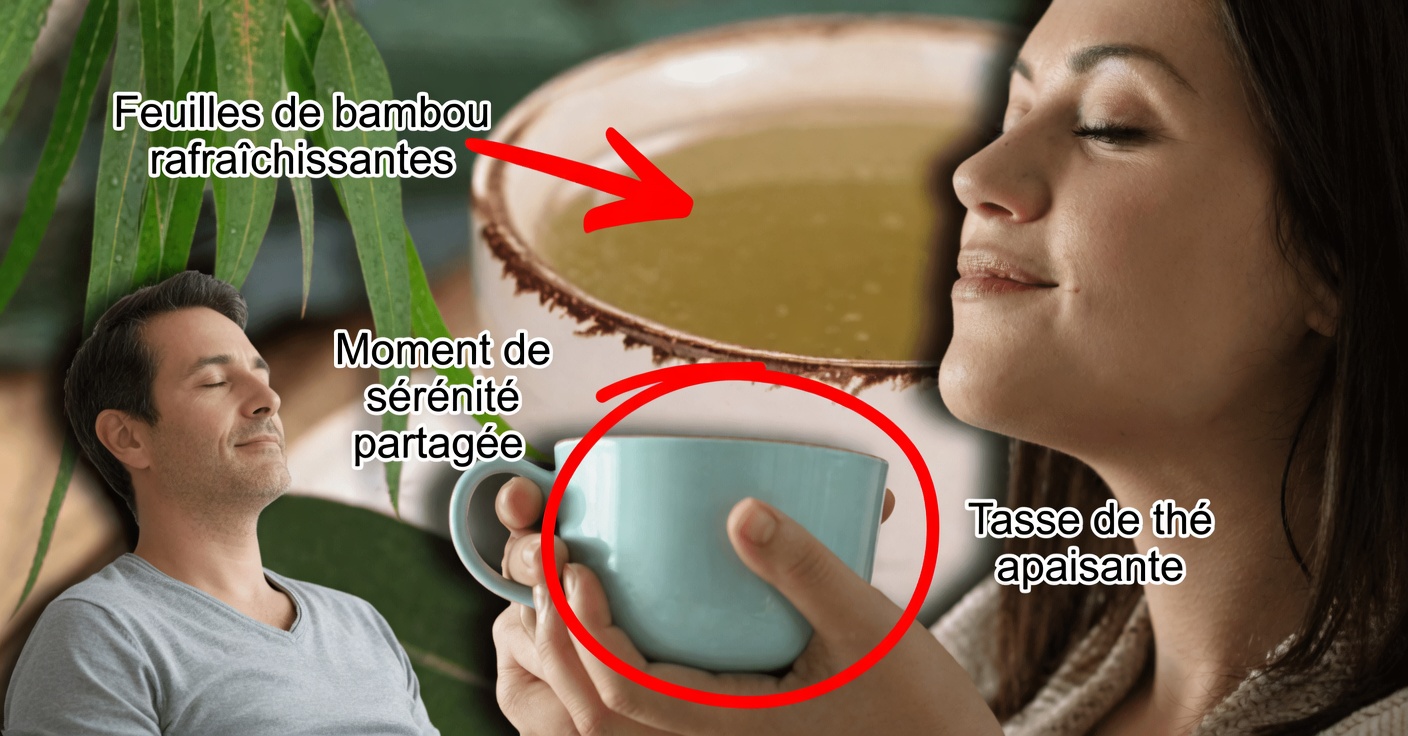 Bienfaits de l’eucalyptus : usages médicinaux et comment en tirer parti