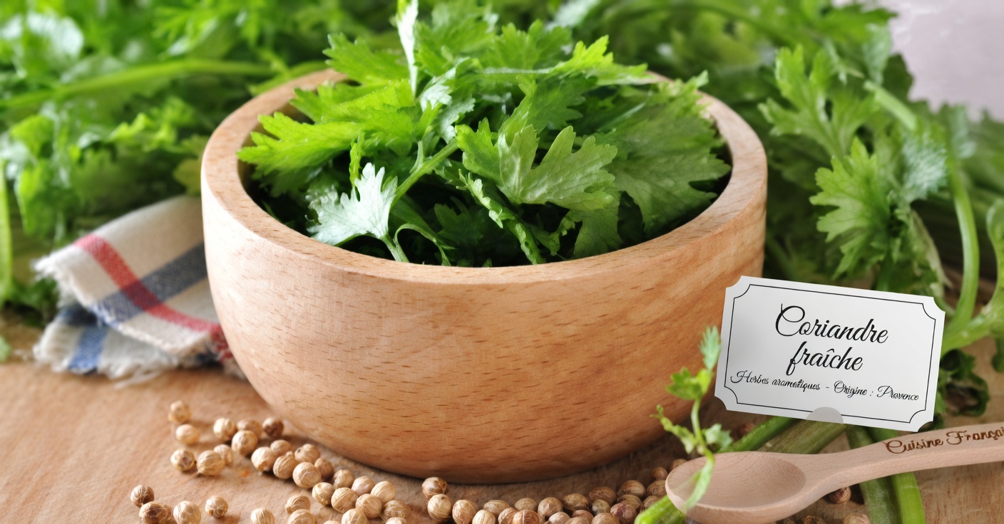 Feuilles médicinales pour la vue : essentielles pour votre santé oculaire