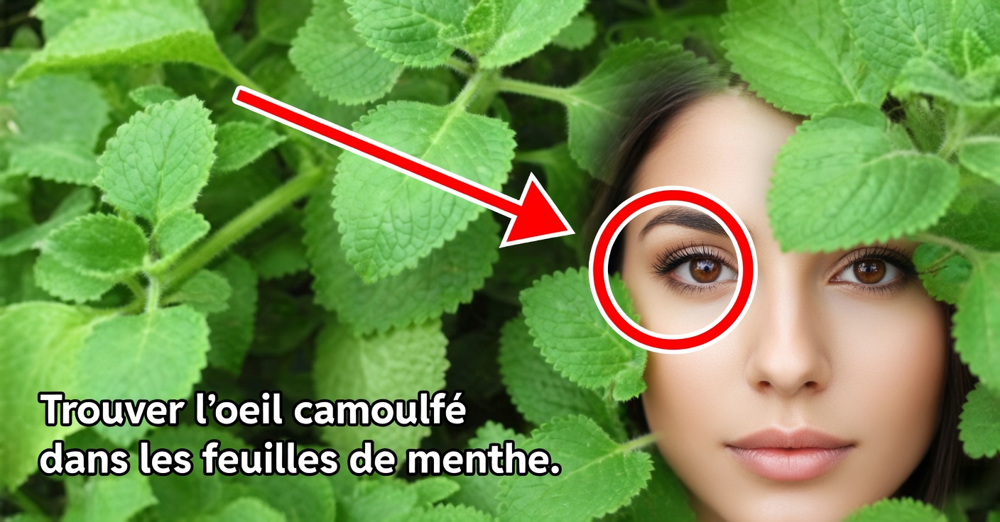 Origan orejón pour la vue : remèdes pour la santé oculaire