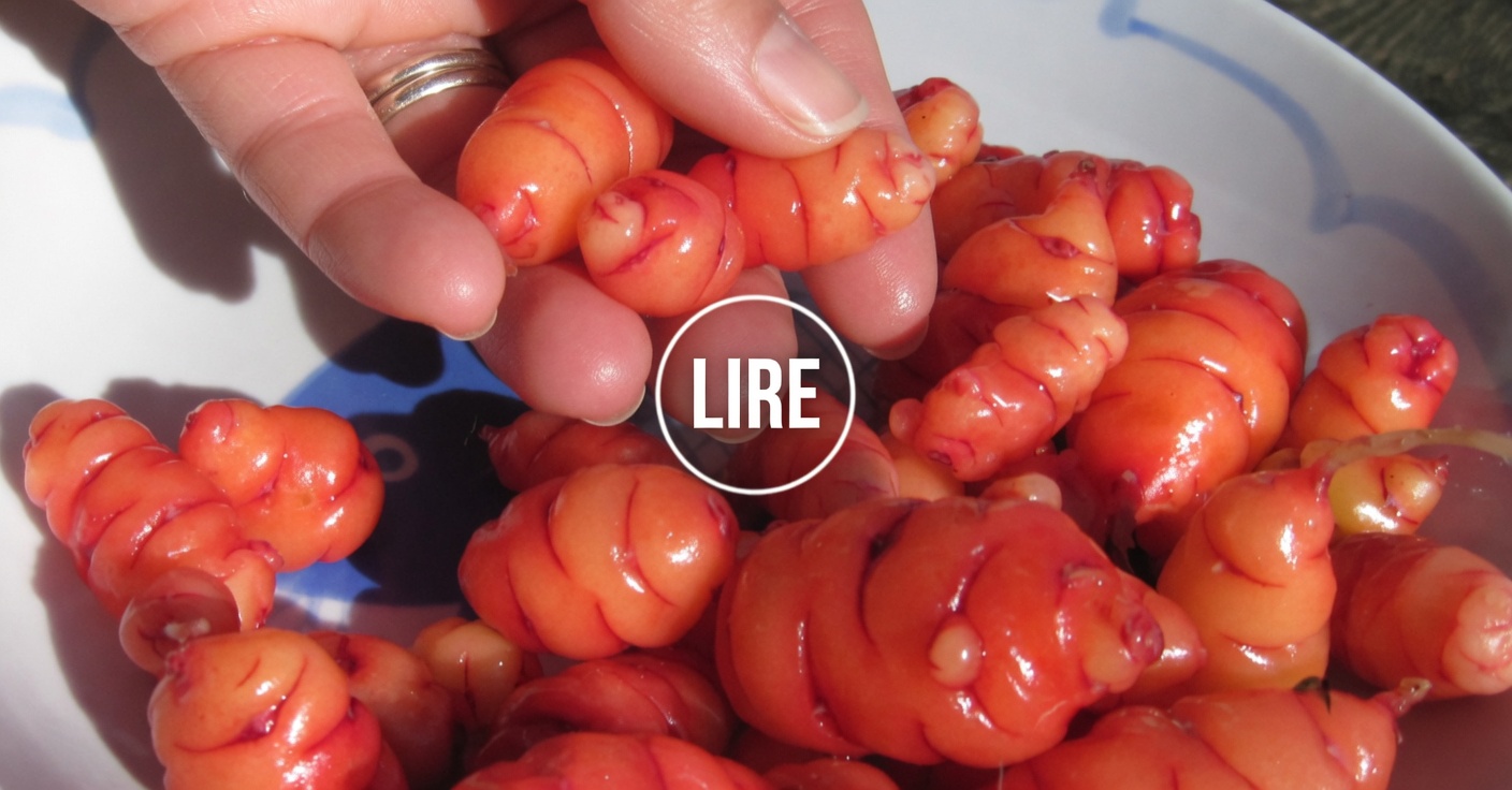 Pois chiches et œufs : une alternative sans viande riche en protéines