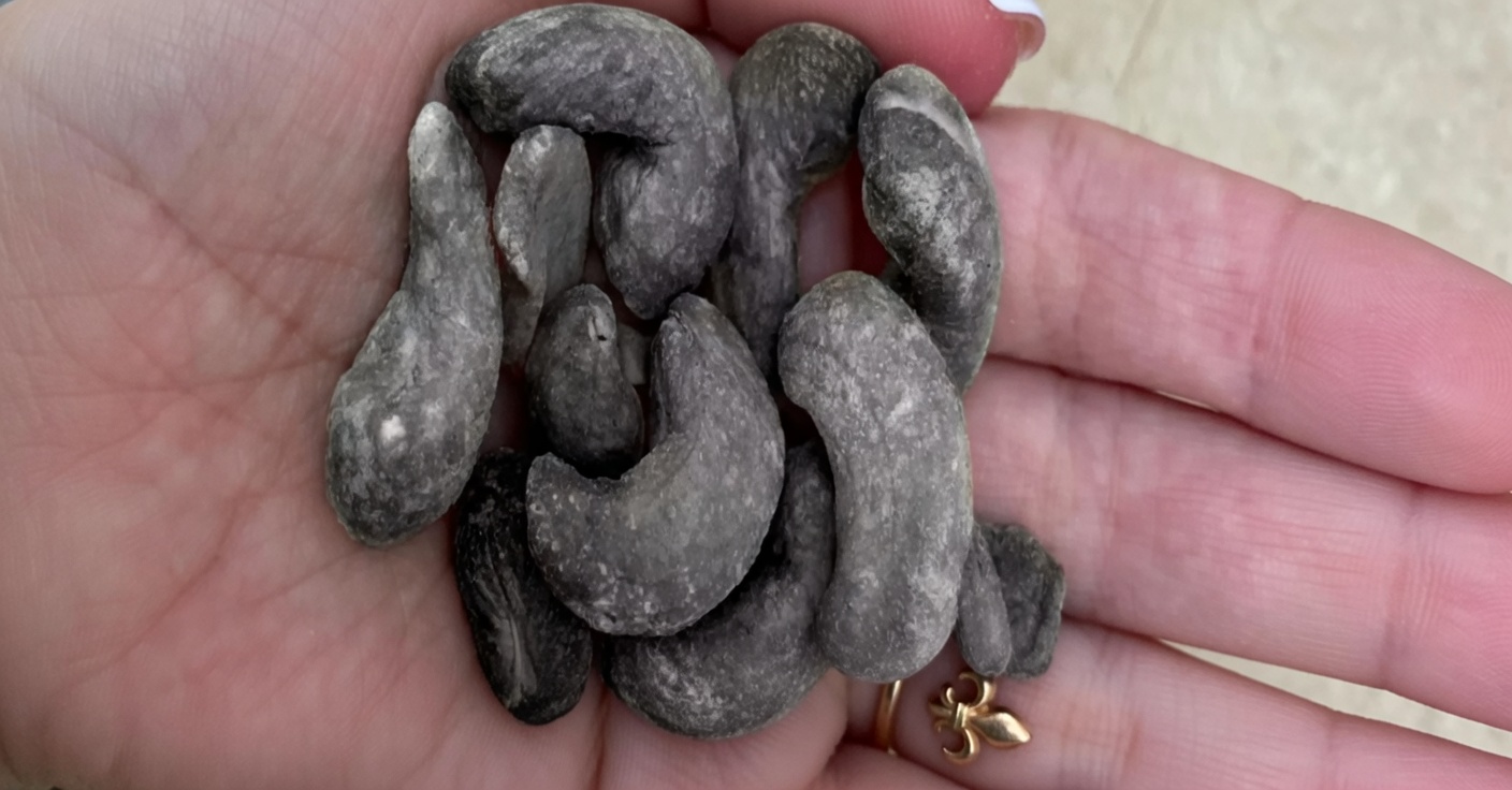 Pois chiches et œufs : une alternative sans viande riche en protéines