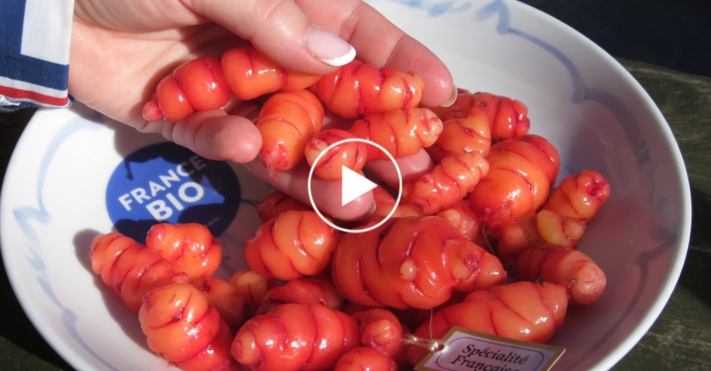 Découvrez les bienfaits naturels du thé à l’hibiscus pour la perte de poids