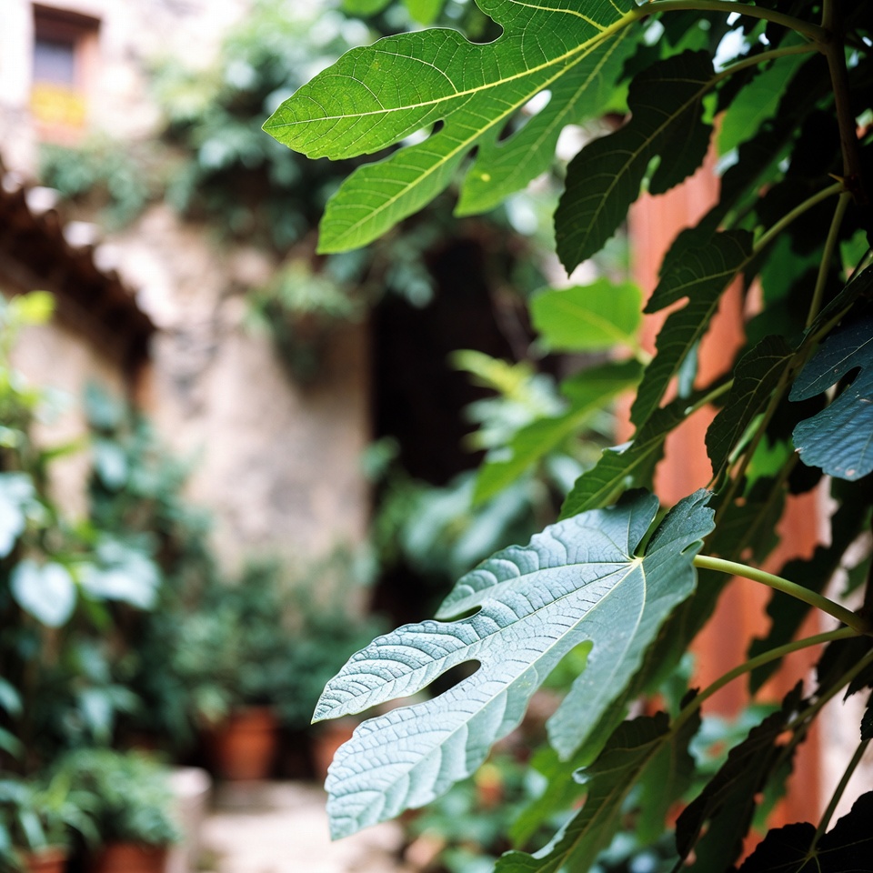 Le pouvoir des feuilles de figuier : les bienfaits cachés de ces feuilles