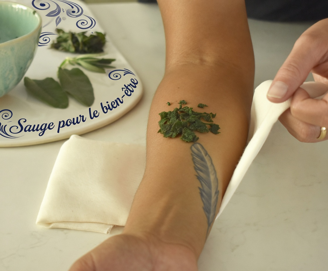 Dévoiler plus de 6 bienfaits pour la santé du Sida acuta : un remède naturel aux puissantes propriétés curatives