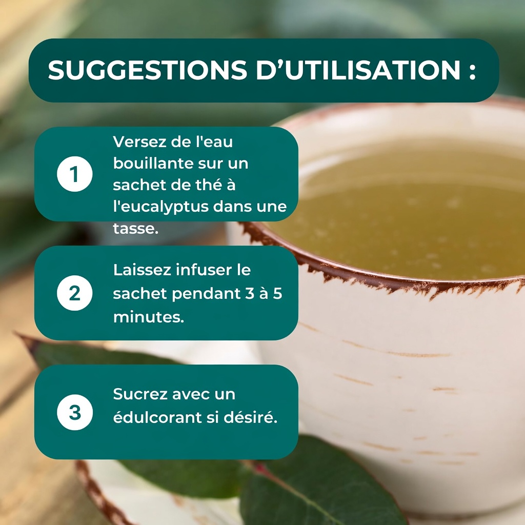 TISANE D’EUCALYPTUS - À QUOI ÇA SERT ? - BIENFAITS POUR VOTRE SANTÉ ET VOTRE BEAUTÉ