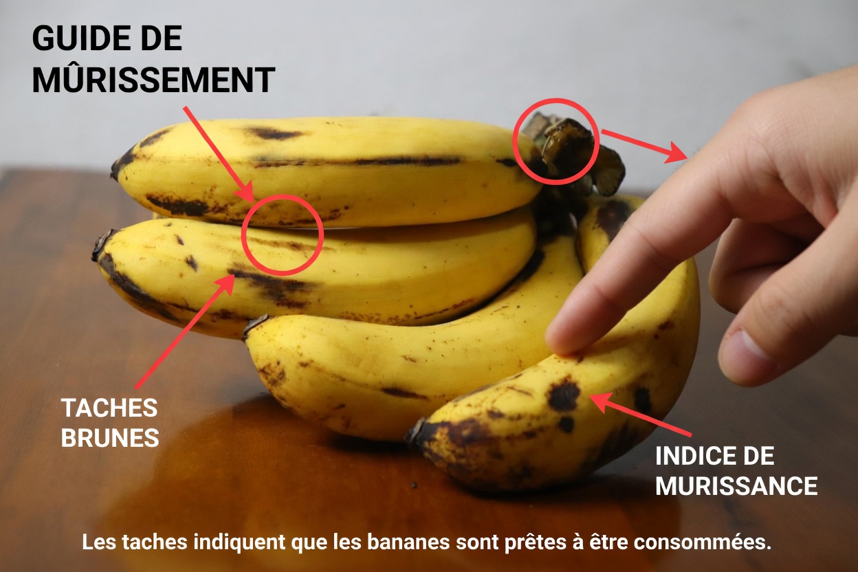 7 Fruits Nocturnes qui Protègent vos Muscles après 60 Ans (Freinez la Sarcopénie Naturellement)