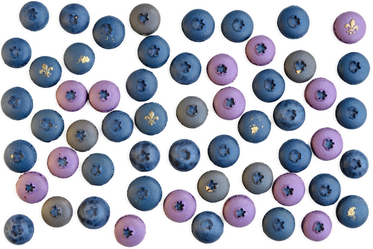 7 Fruits Nocturnes qui Protègent vos Muscles après 60 Ans (Freinez la Sarcopénie Naturellement)