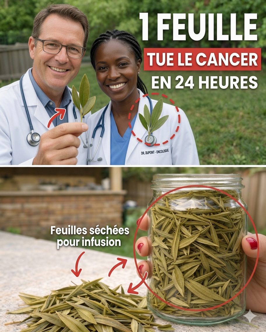 La feuille qui attire l’attention : exploration des feuilles de corossol et de leur potentiel pour le bien-être