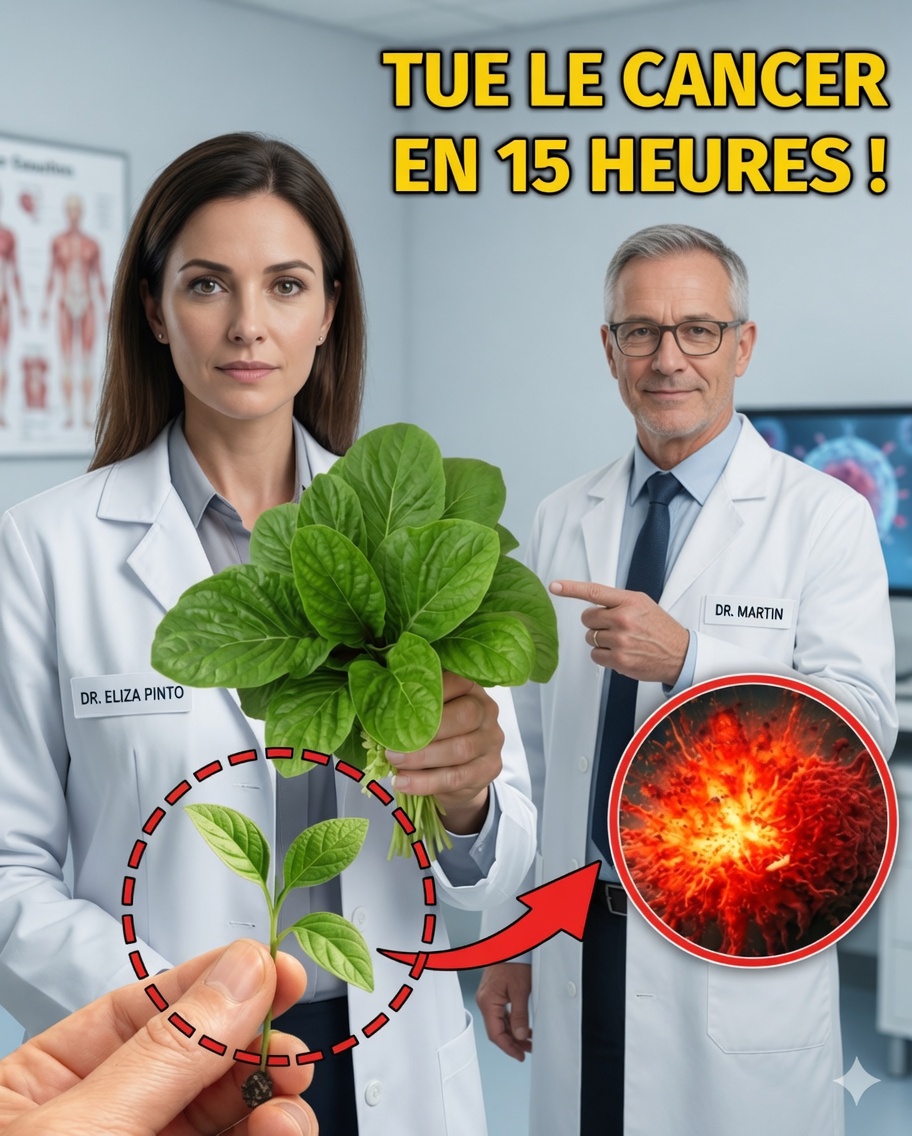 La feuille qui peut transformer votre santé pour toujours