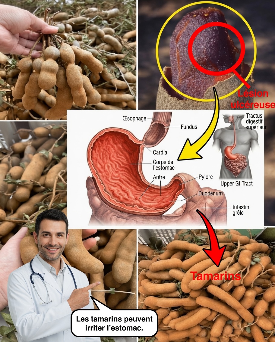 12 raisons puissantes d’ajouter le tamarin à votre routine quotidienne après 50 ans