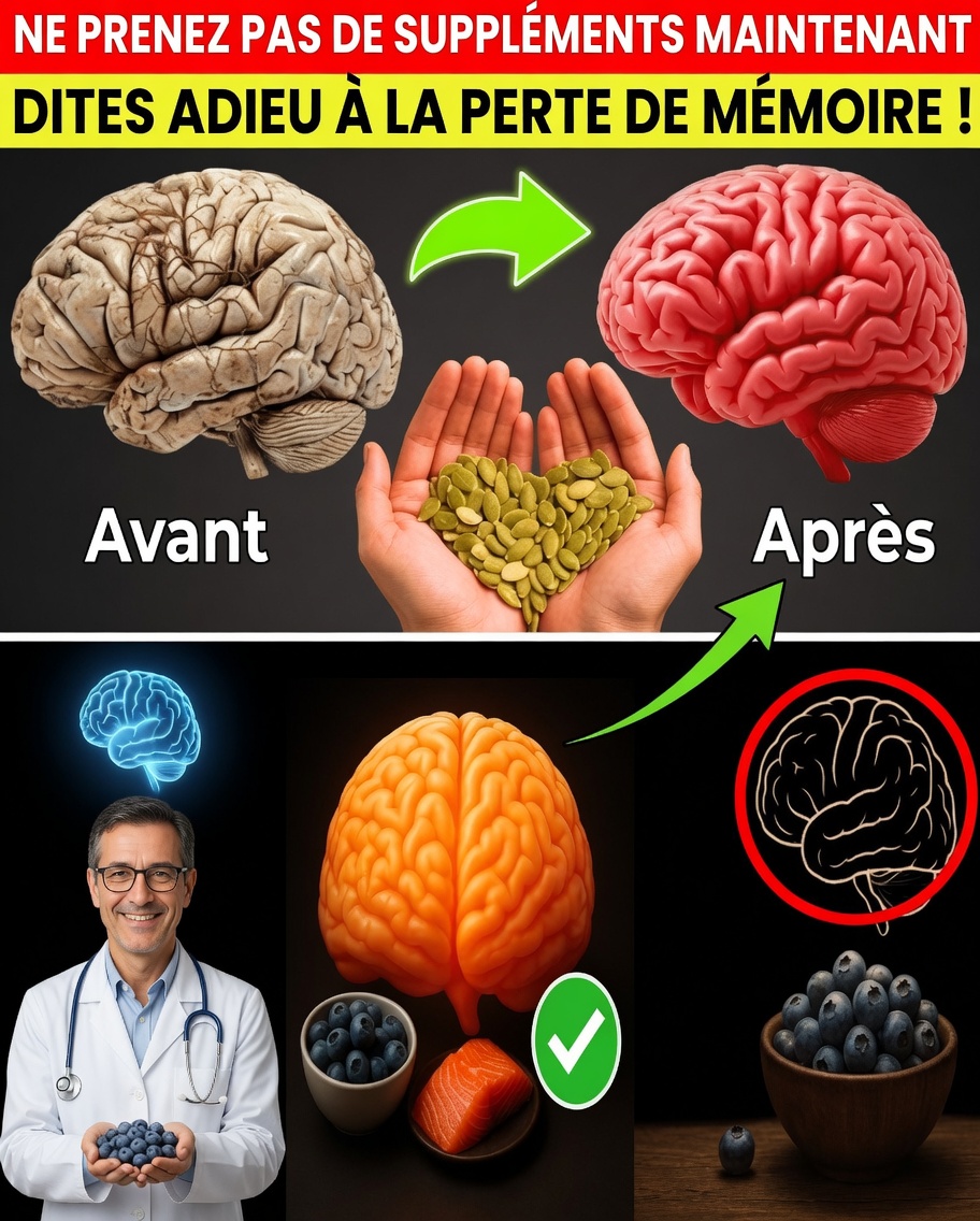 Cette minuscule graine pourrait être la clé naturelle d’une mémoire plus vive après 65 ans