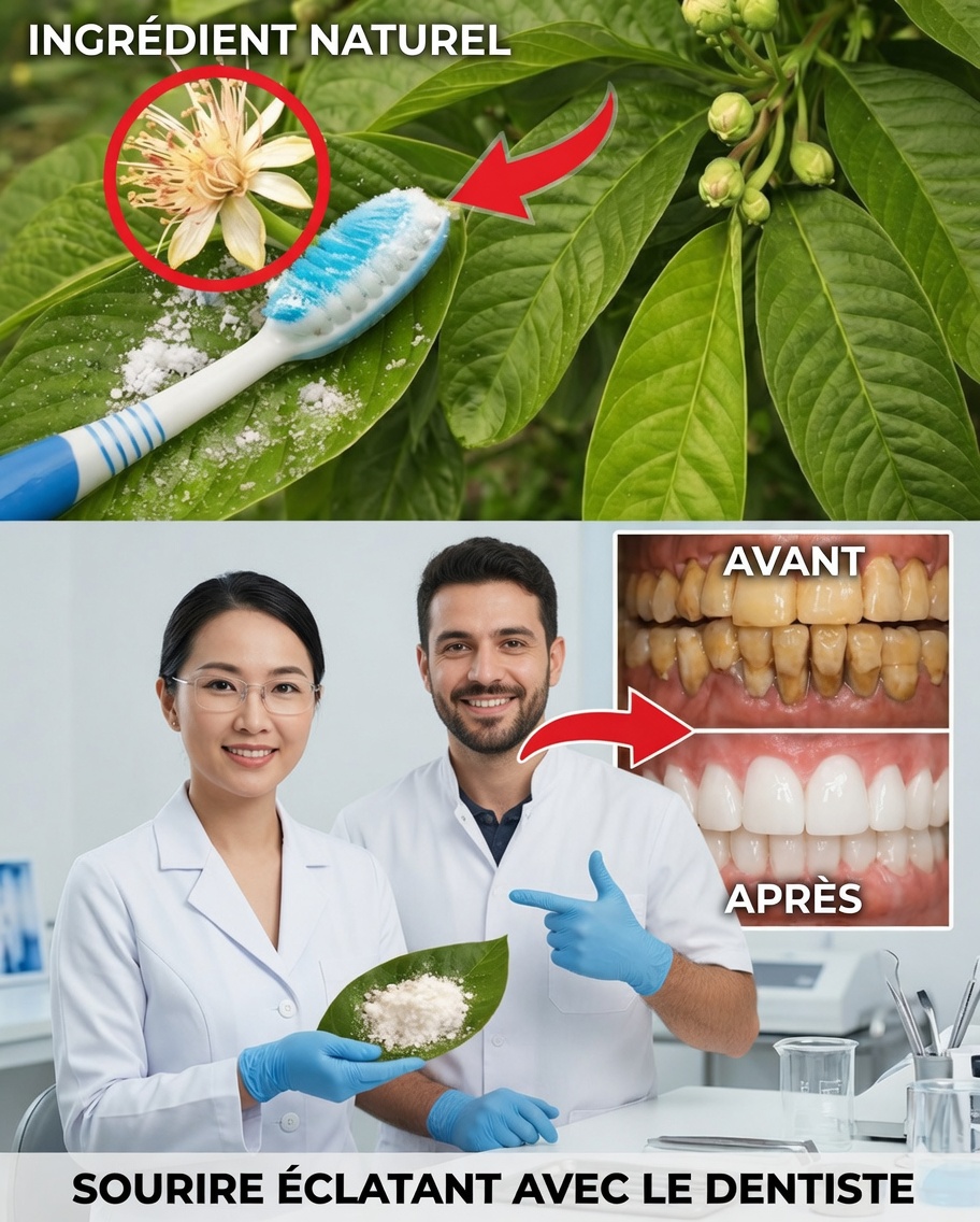 Top 3 façons de traiter la carie dentaire avec des feuilles de goyavier – simple et économique