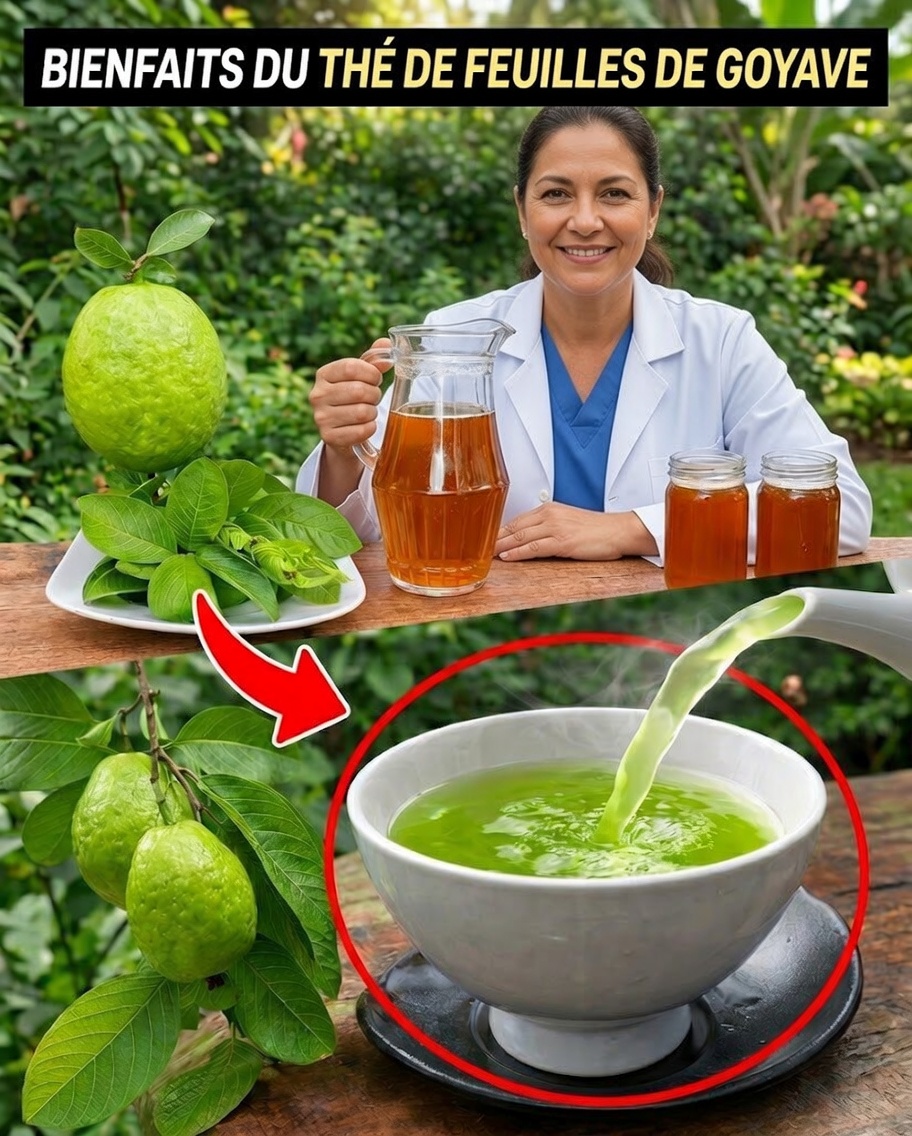17 Raisons de boire du thé de feuilles de goyavier deux fois par semaine