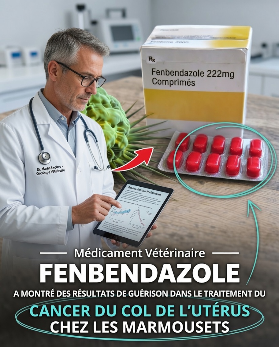 Un vermifuge vétérinaire courant peut-il aider la recherche sur le cancer du col de l’utérus ? Une étude de 2025 suscite l’intérêt scientifique
