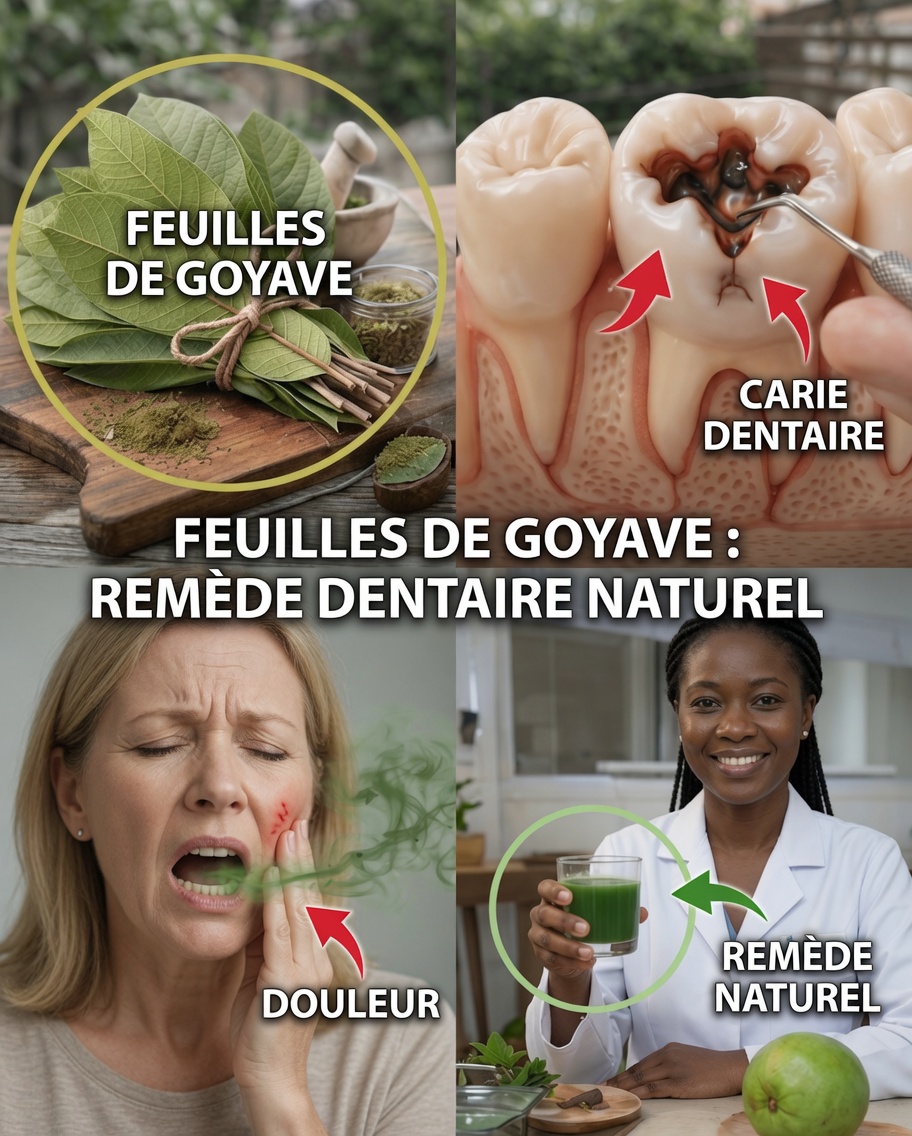 Top 3 façons simples d’utiliser des feuilles de goyavier pour les soins bucco-dentaires au quotidien – idées faciles à réaliser à la maison