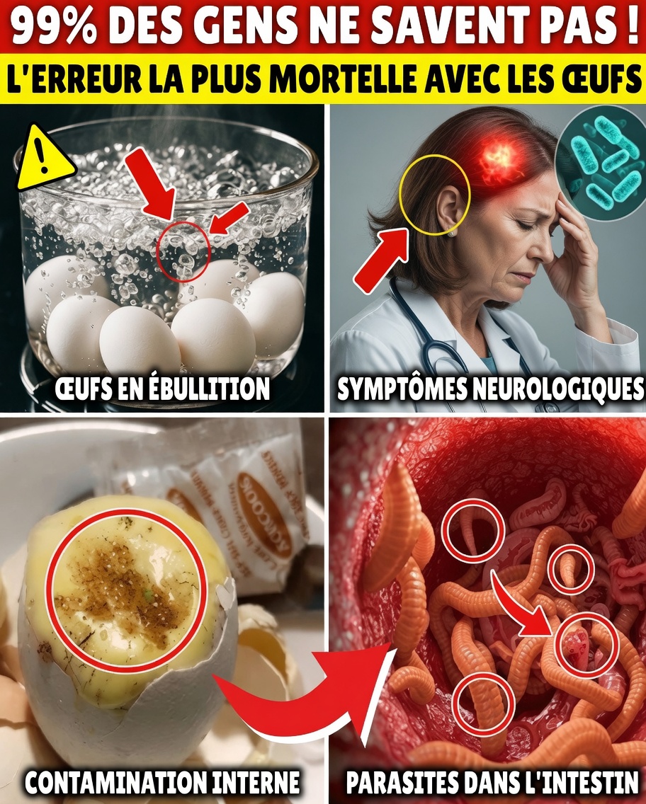 Mangez des œufs correctement : évitez ces 7 erreurs dangereuses pour une meilleure santé