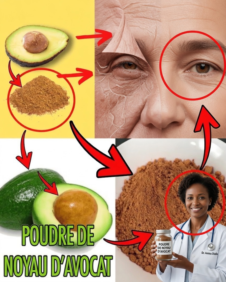 Le noyau d’avocat : superaliment caché ou trésor méconnu ?