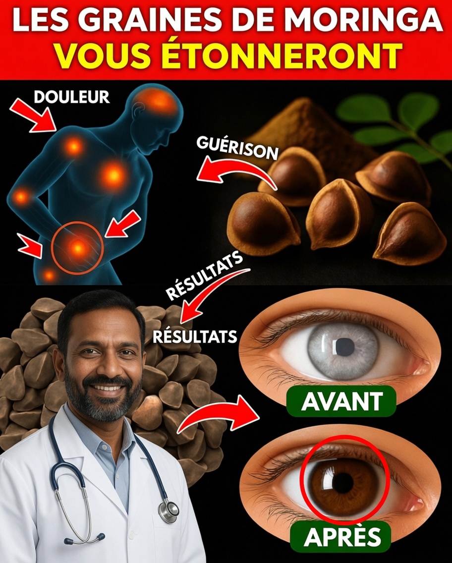 12 avantages puissants des graines de moringa que vous n’avez probablement jamais entendus parler