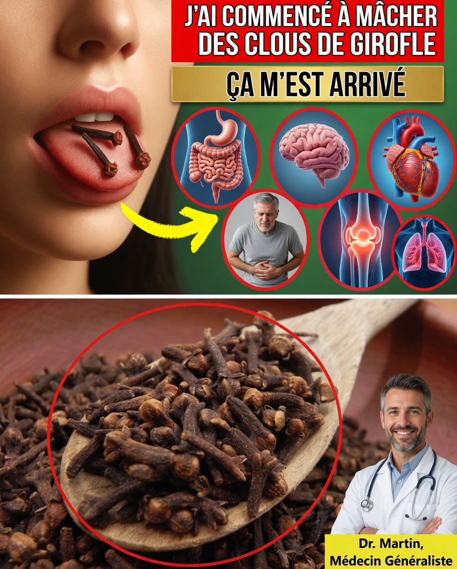 Prenez 3 gousses d’ail par jour : une habitude simple qui pourrait transformer votre santé