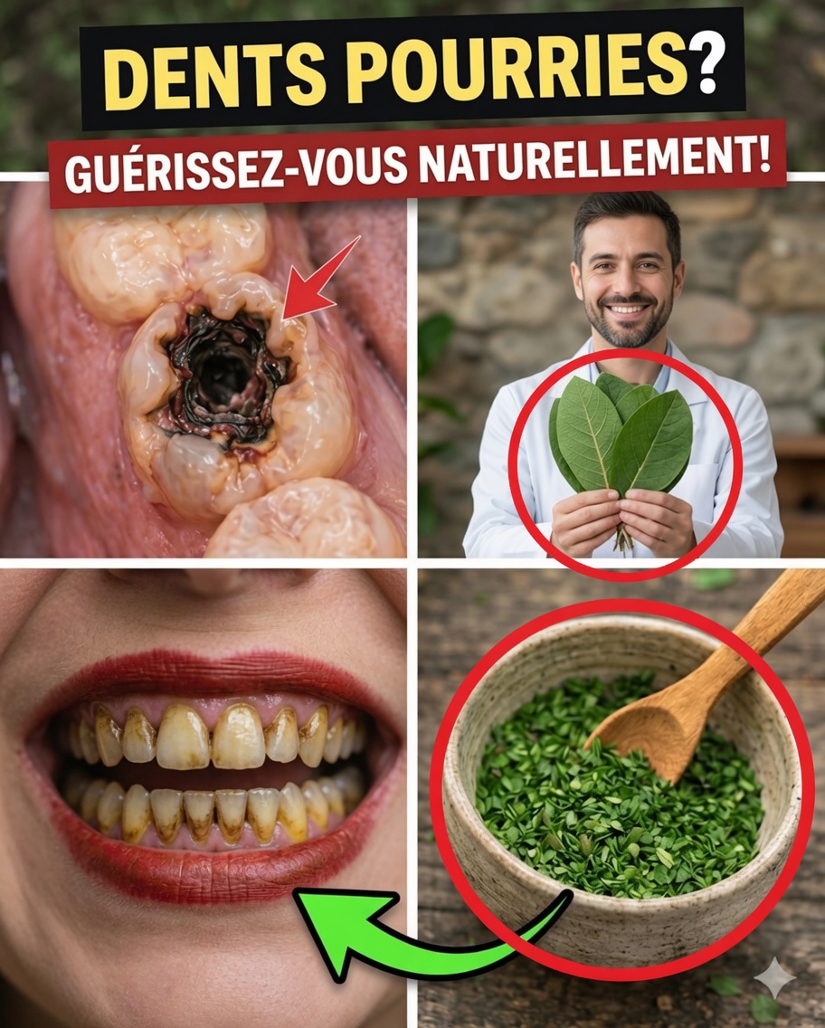 Découvrez des façons simples d’utiliser des feuilles de goyave pour améliorer vos habitudes de soins bucco-dentaires