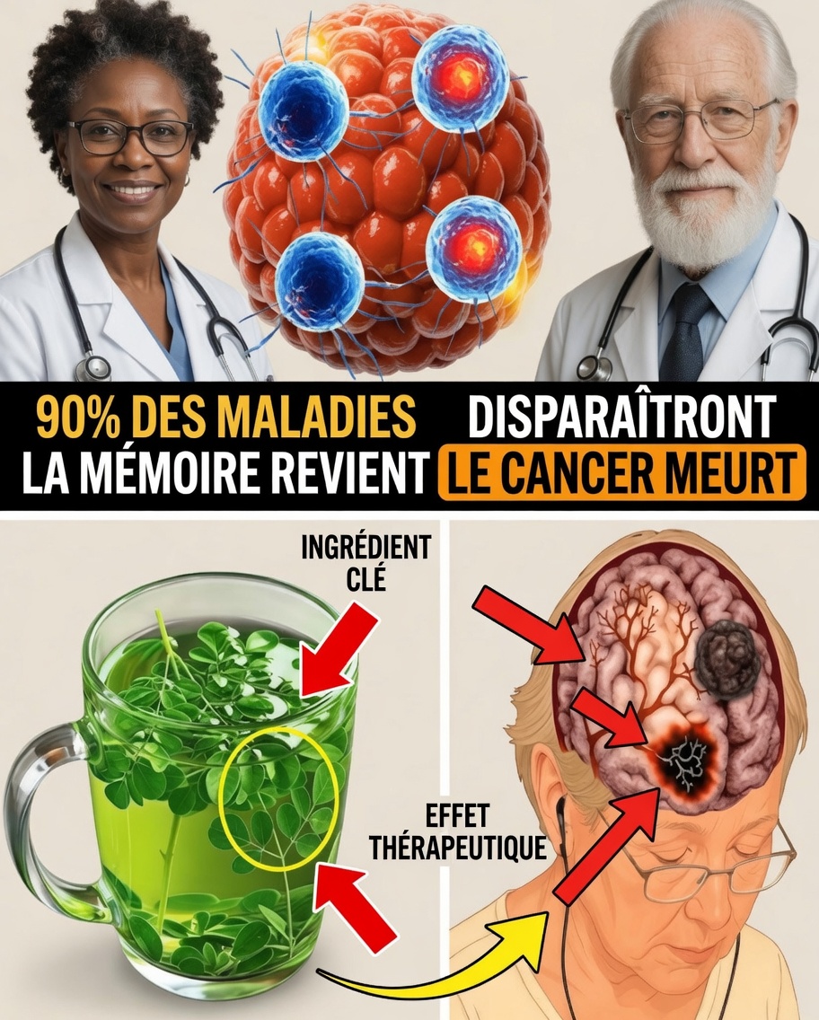 Secrets de longévité japonaise : 10 aliments du quotidien qui vous aident à rester jeune, plein d’énergie et en forme