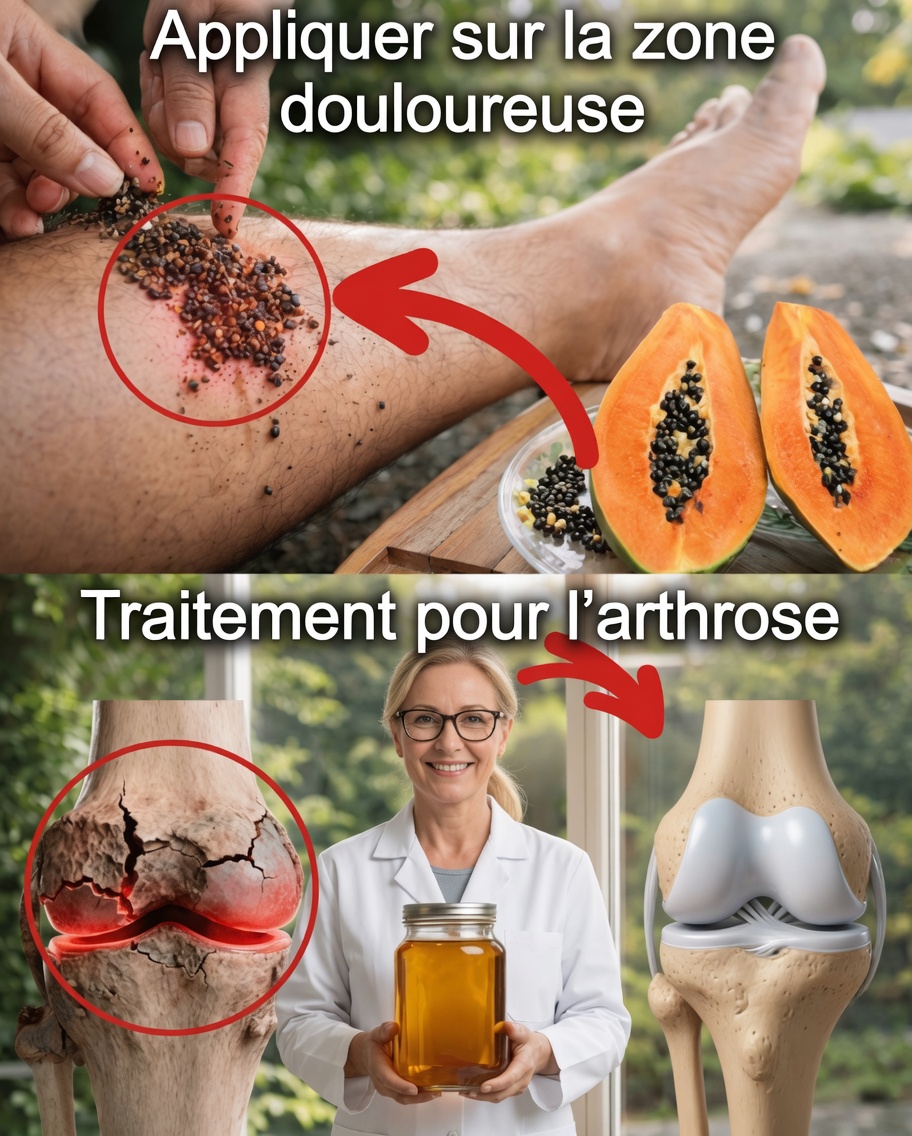 Une simple graine de cuisine peut-elle aider à soulager l’inconfort des genoux, du dos et de la colonne vertébrale ? Découvrez le pouvoir caché des graines de papaye