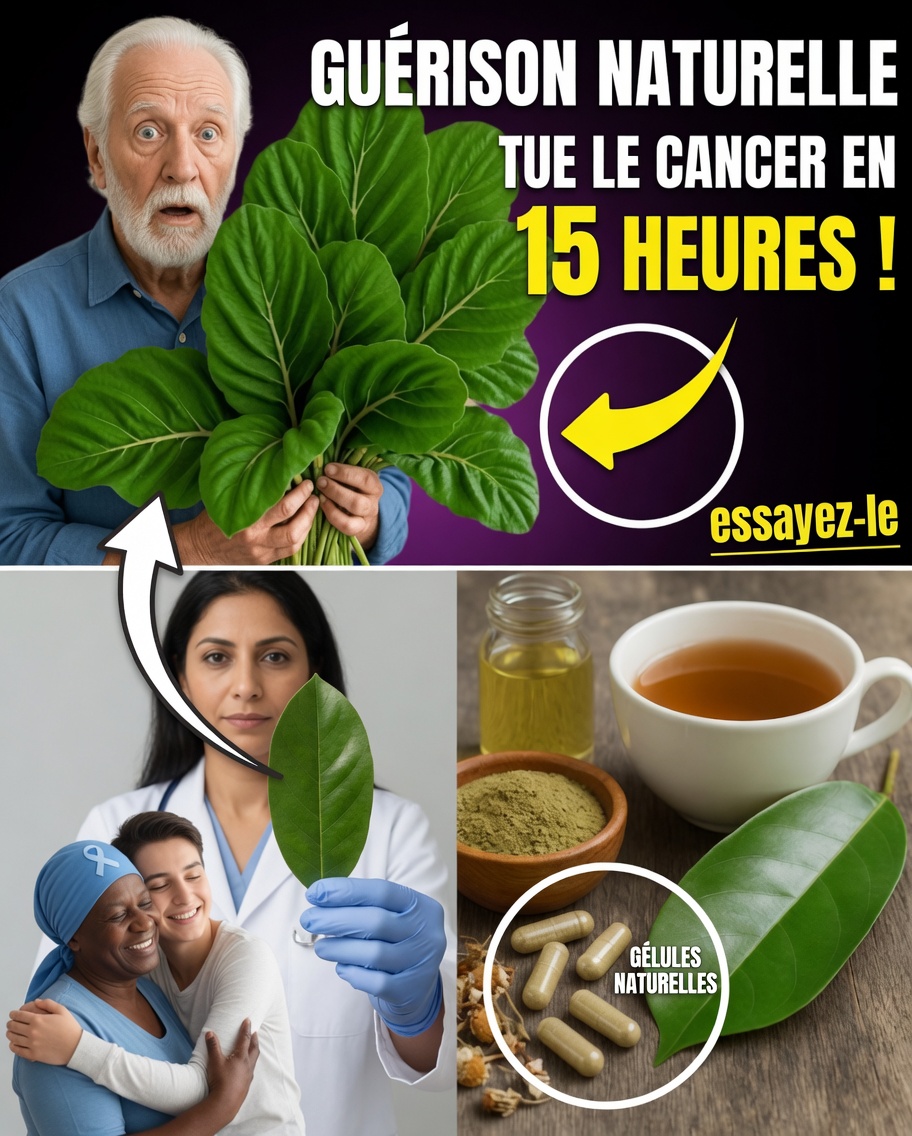 Cette feuille ancienne fait un retour en force — devriez-vous l’envisager ?