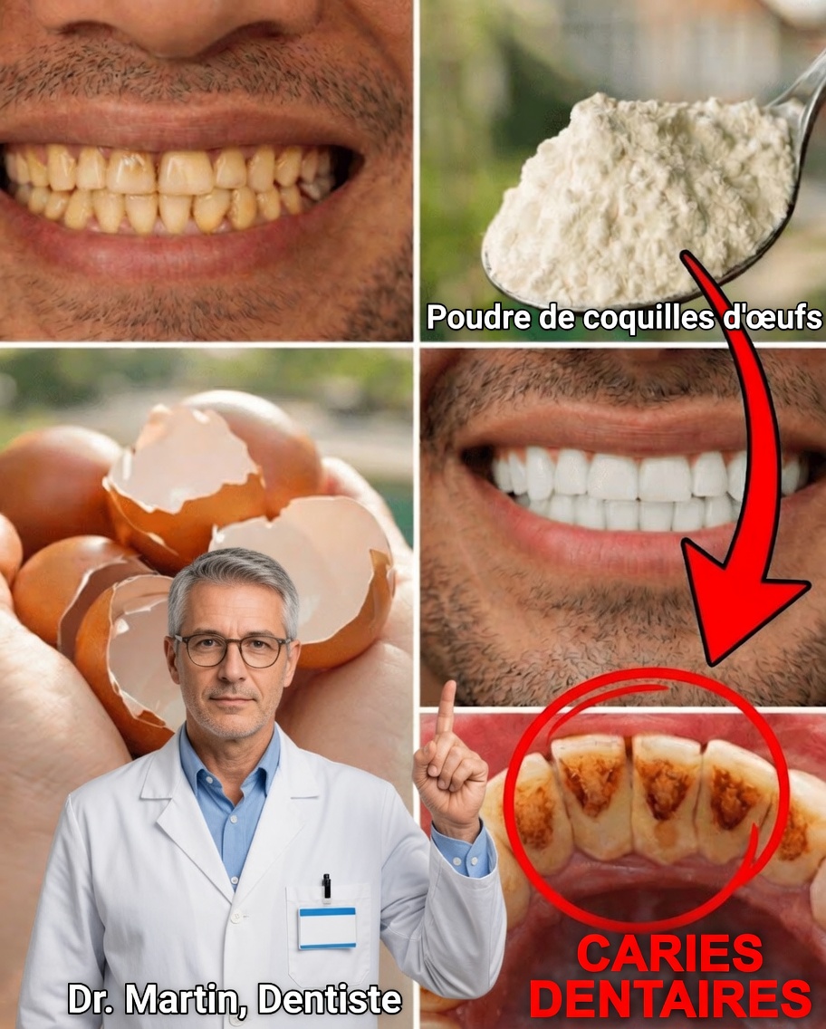 Une approche naturelle à la maison que beaucoup de gens testent pour des dents plus propres et plus brillantes : ce qu’il faut savoir sur les coquilles d’œuf
