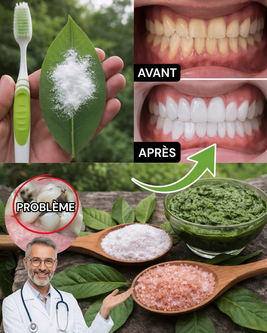Découvrez une astuce naturelle simple à base de feuilles de goyavier pour soutenir votre santé bucco-dentaire