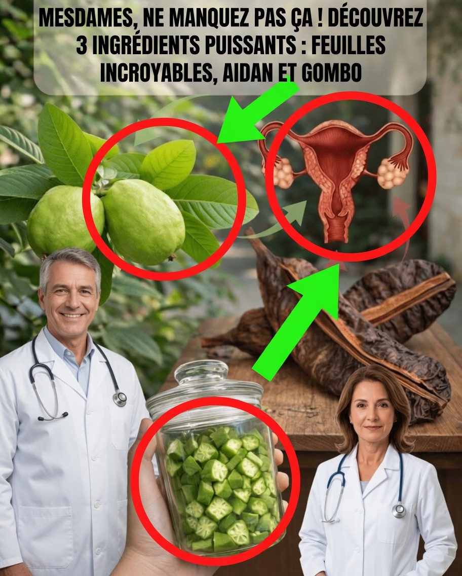 Découvrez 3 ingrédients naturels que de nombreuses femmes explorent pour le bien-être au quotidien : feuilles de goyavier, fruit d’Aidan et gombo