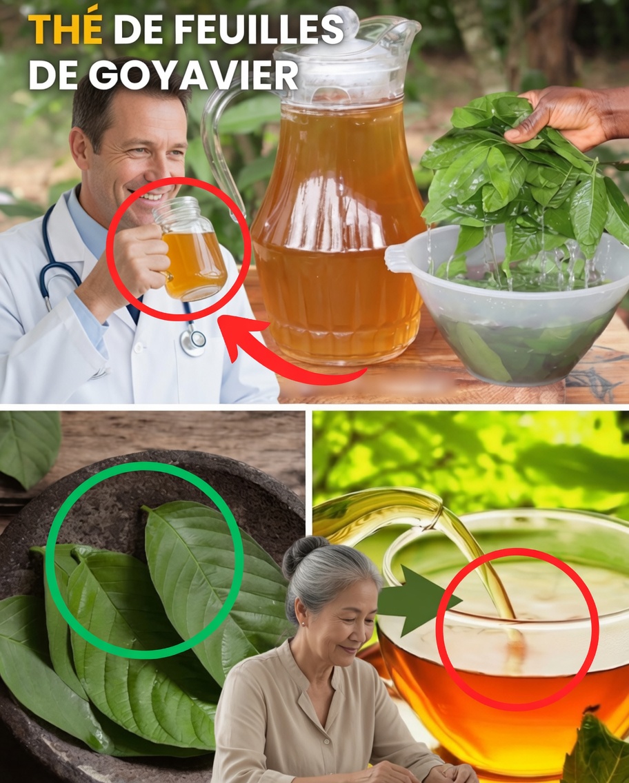 Thé de feuilles de goyavier : un simple rituel quotidien pour retrouver énergie, digestion et éclat