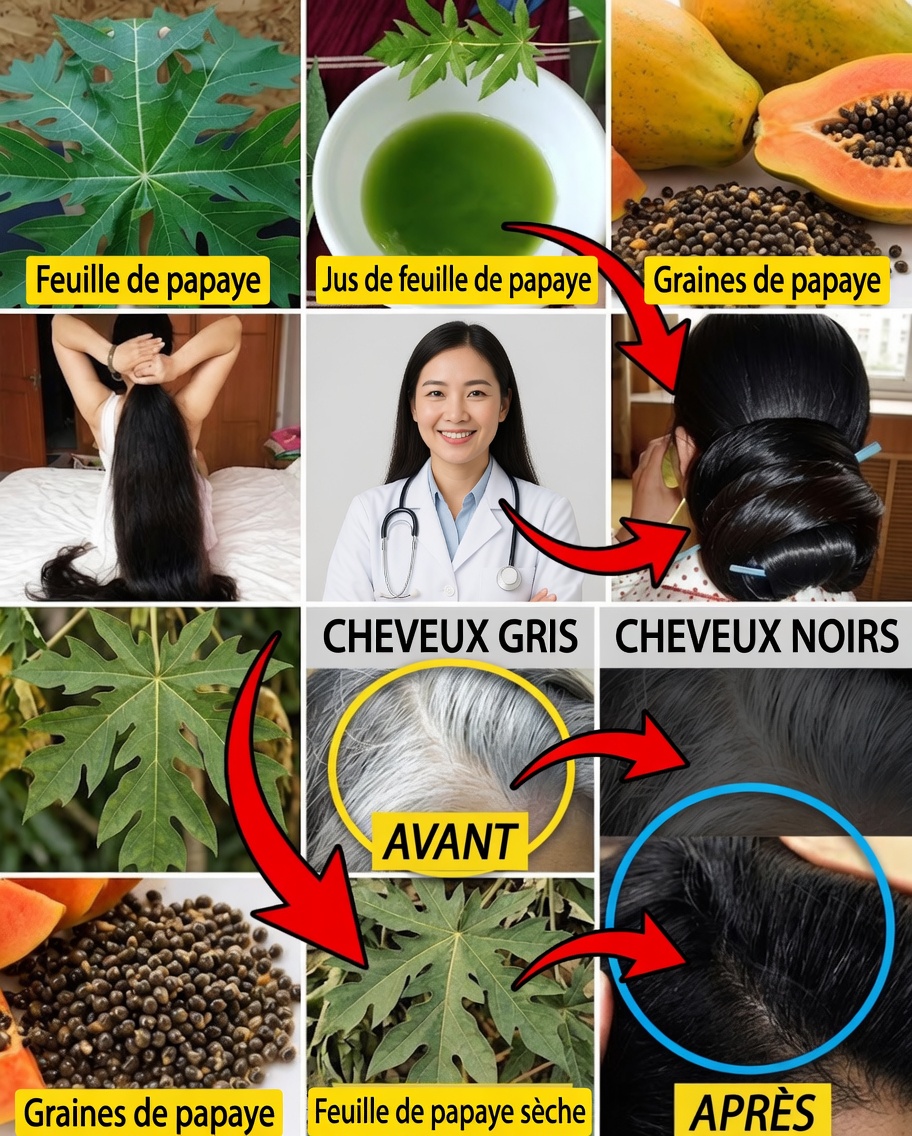 Feuilles de papayer pour des cheveux jeunes : une voie naturelle vers une chevelure plus foncée, plus forte et éclatante