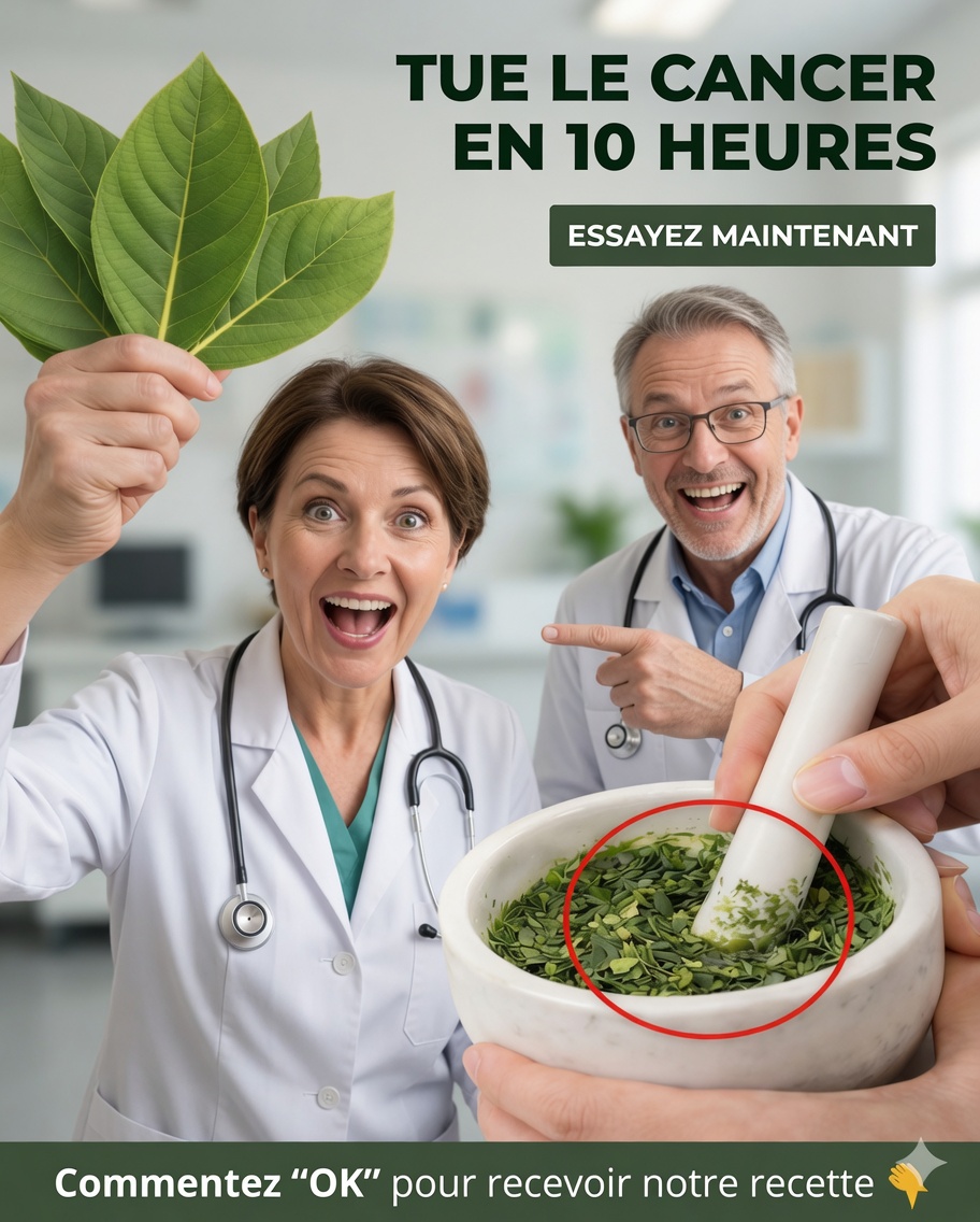 La feuille puissante dont tout le monde parle : ce que la science dit vraiment sur les feuilles de graviola