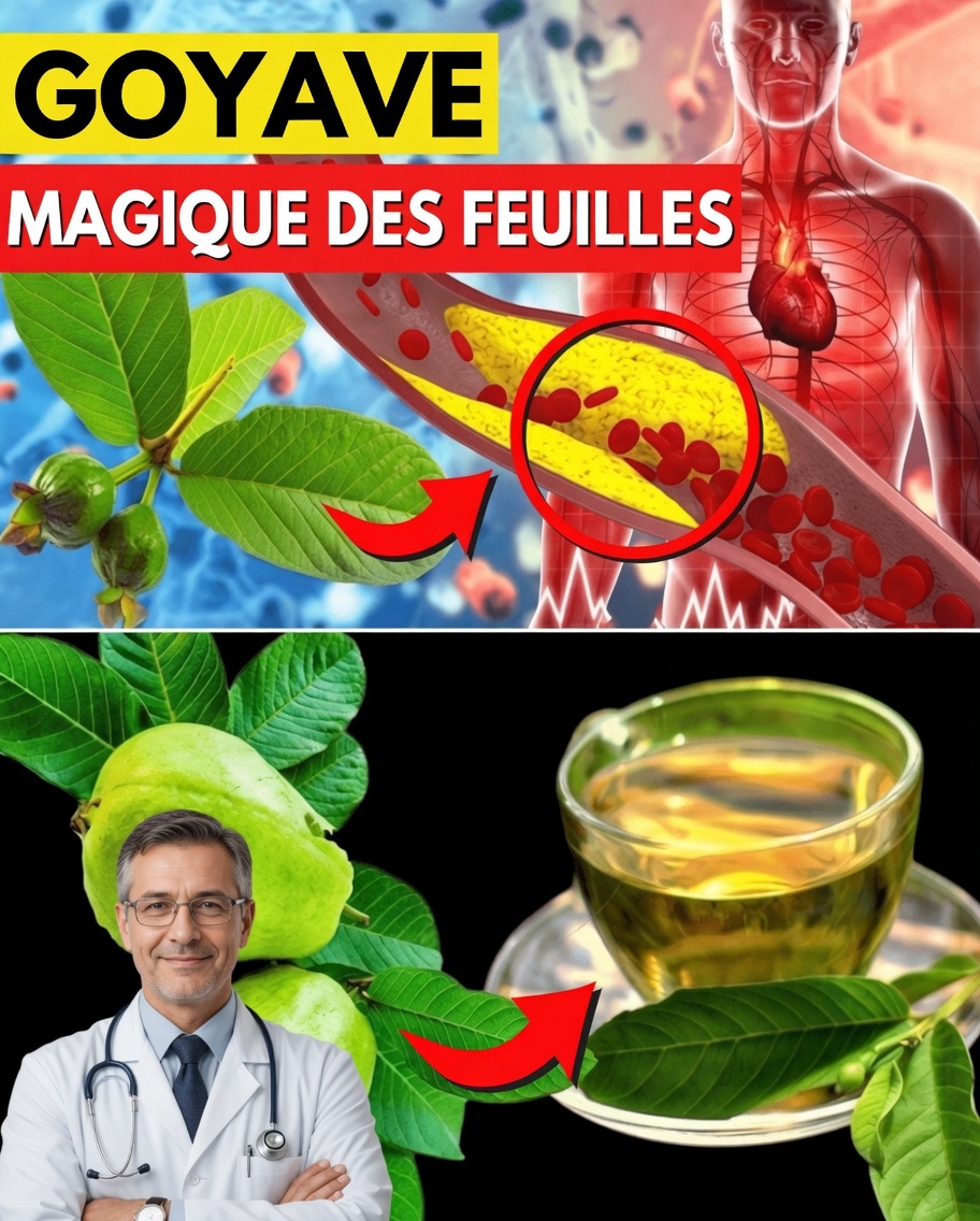 17 Raisons Puissantes de Boire du Thé de Feuilles de Goyave Deux Fois par Semaine