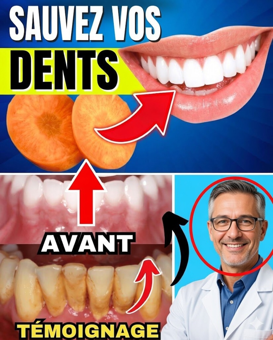Les dentistes confirment : 7 aliments qui renforcent naturellement les dents et les gencives