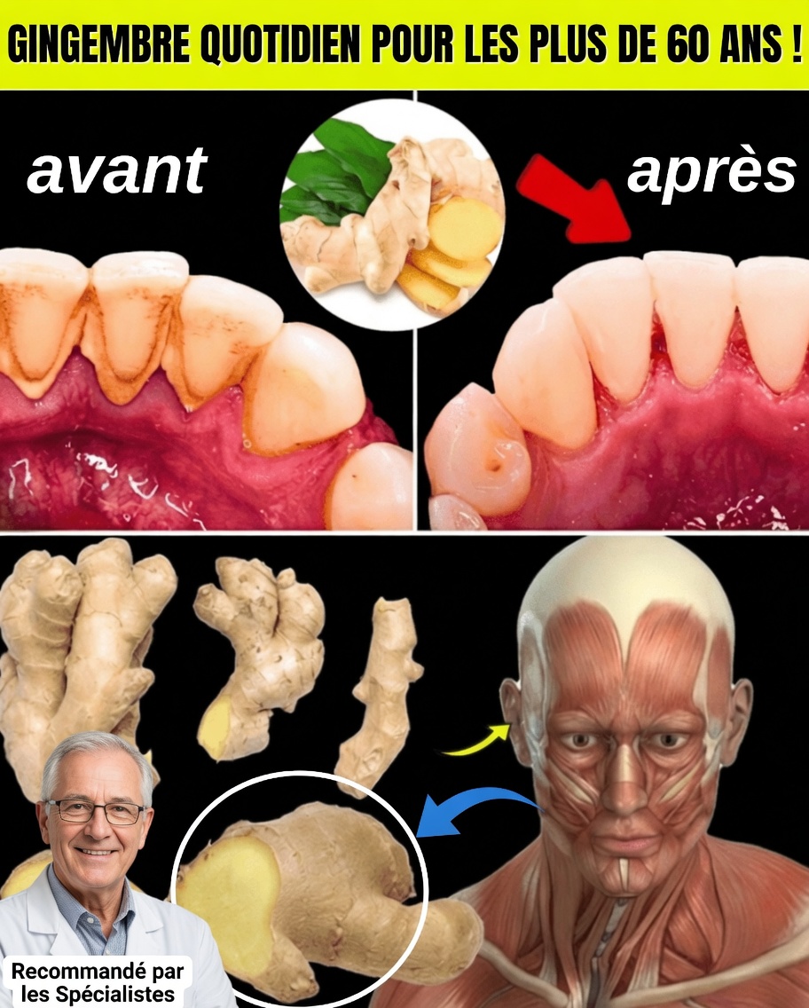 Plus de 60 ans ? Pourquoi VOUS devriez consommer du gingembre tous les jours (5 raisons essentielles)