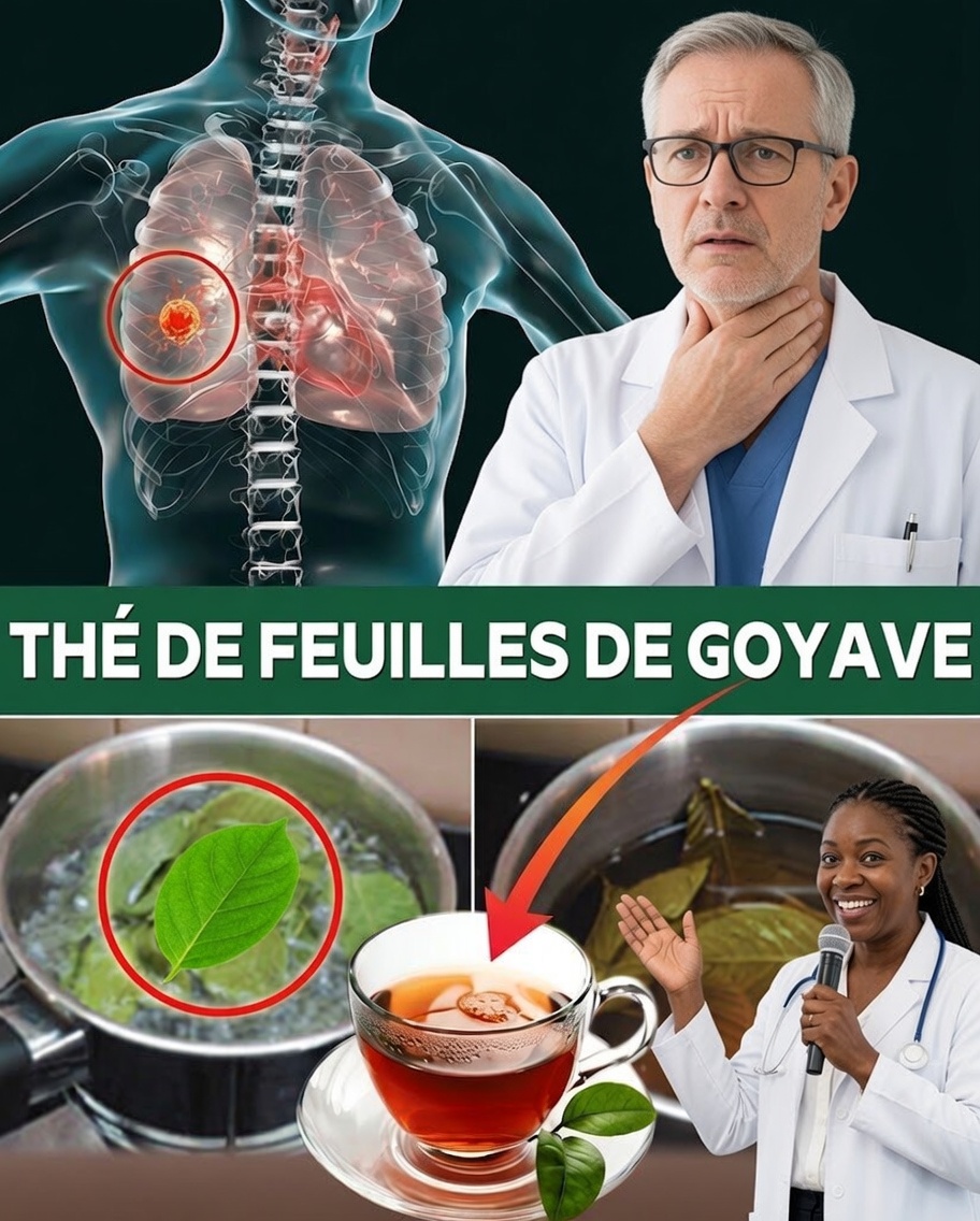 17 raisons puissantes de boire du thé de feuilles de goyave deux fois par semaine