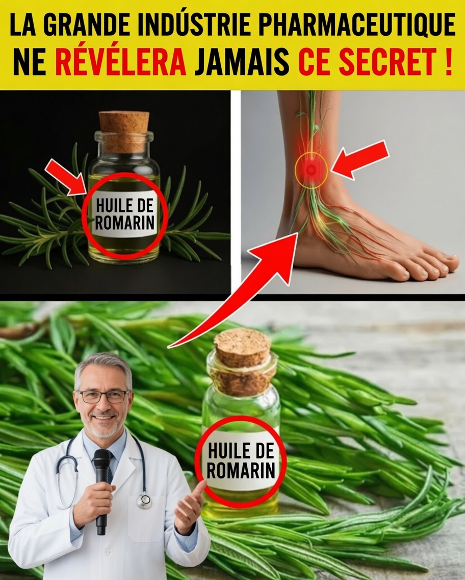 Personnes âgées : utilisez l’huile de romarin de cette façon et découvrez 12 bienfaits incroyables