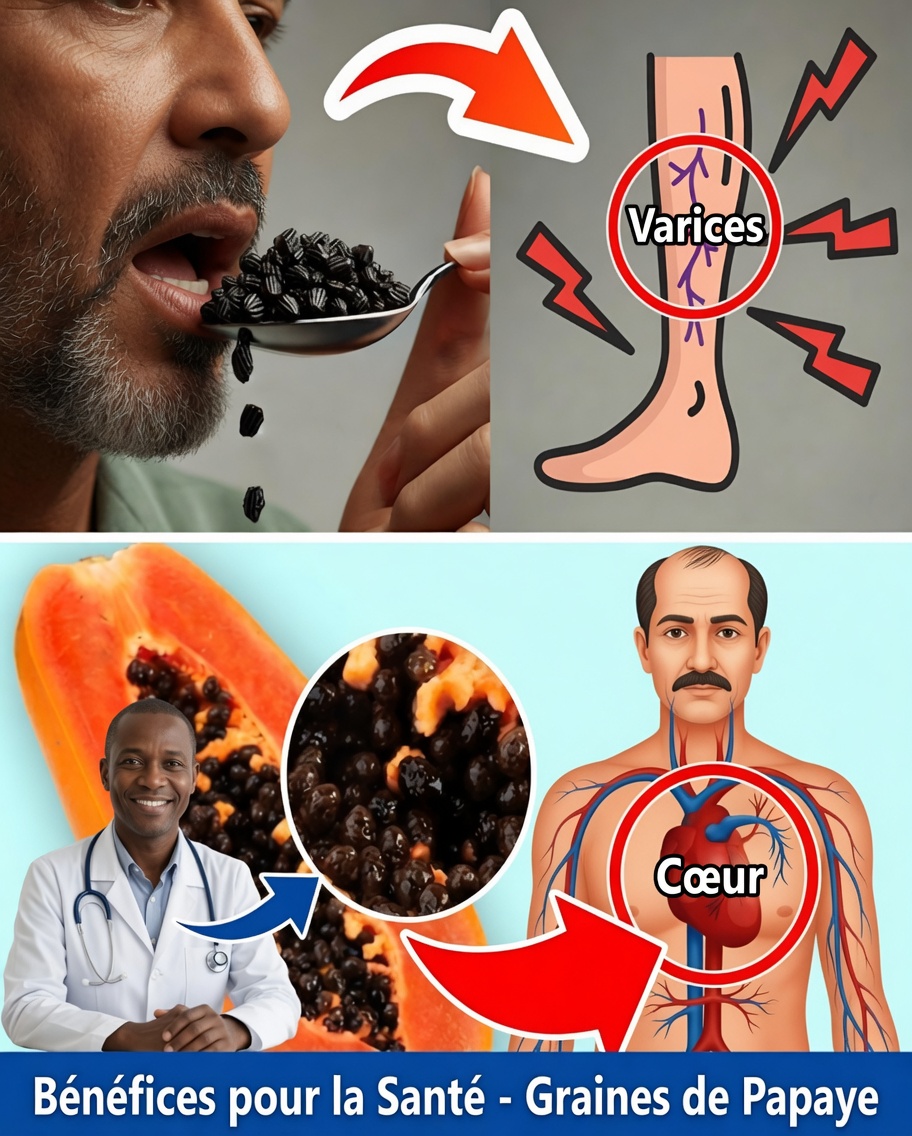 Le pouvoir caché des graines de papaye : ce petit trésor peut-il aider à résoudre divers problèmes de santé ?