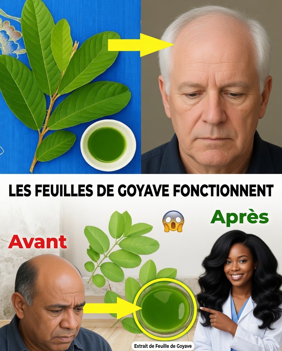 Des racines aux pointes : feuilles de goyave pour revitaliser les cheveux