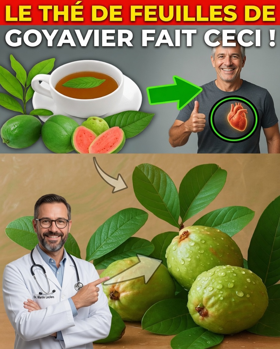 Le vieux secret des feuilles de goyave que le bien-être moderne redécouvre