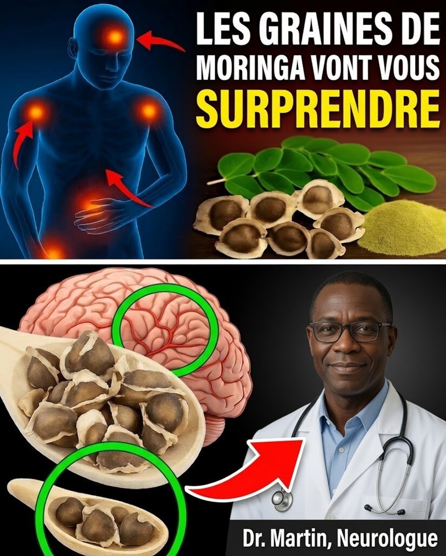 Pourquoi les graines de moringa sont un trésor caché pour votre santé